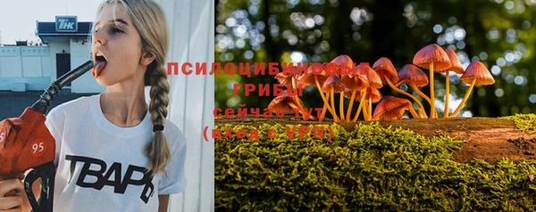 MDMA Беломорск