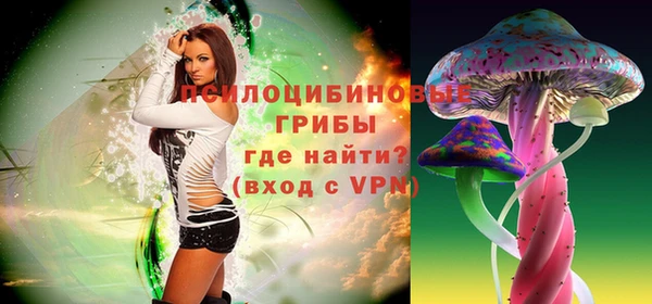 дживик Балахна