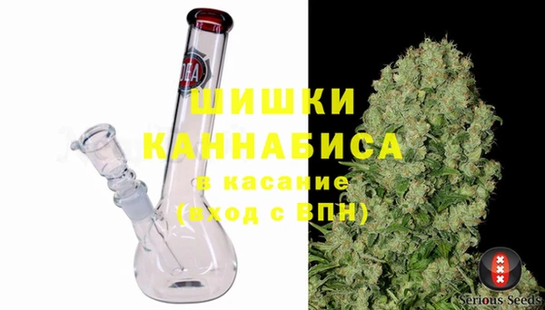 PSILOCYBIN Пересвет