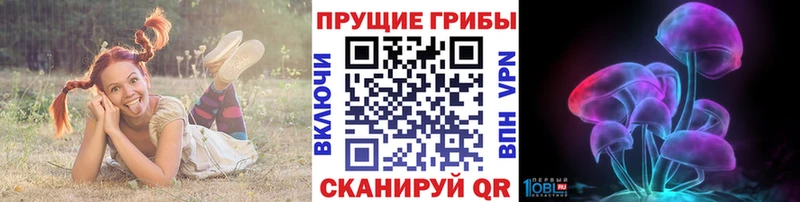 купить наркотик  Соль-Илецк  Галлюциногенные грибы GOLDEN TEACHER 
